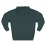 Giggly Squad I Wish You Well Script Hoodie Sports Green Back Side